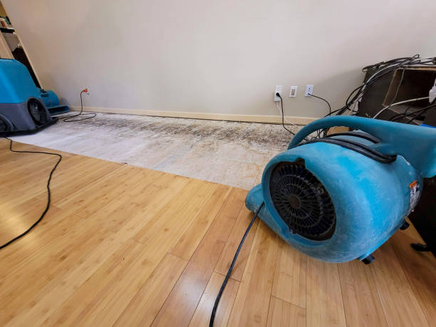 Professional Emergency Water Damage technician working in Lawn, PA